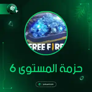 حزمة المستوى 6