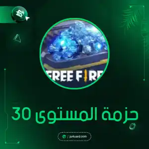 حزمة المستوى 30